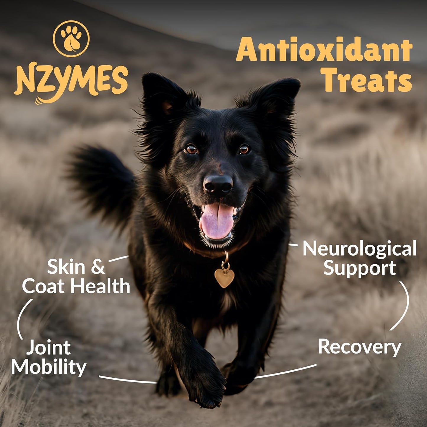 Nzymes® Antioxidant Treats - for Dogs Joints, HIPS, Paralysis, Skin, Coat, Hair Loss, Aging, Digestion, Neurological, Seizures - 180 Treats - Made in The USA
