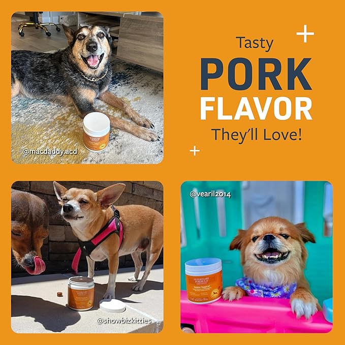 Veterinary Formula Senior Support Joint Supplement for Dogs - Soft Chews, 30ct - Support Healthy Joints, Skin, Gut, and Immunity with Glucosamine for Dogs