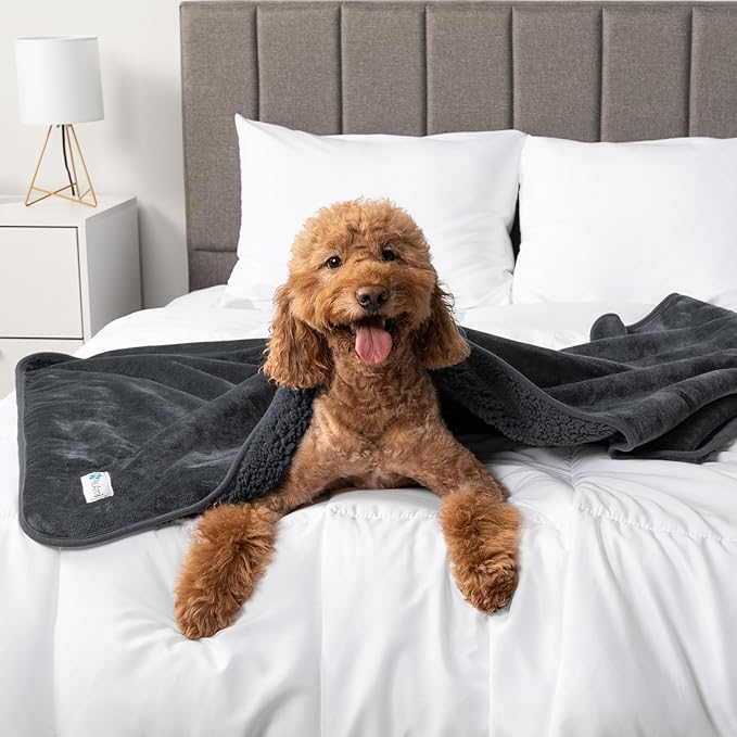 PetAmi Waterproof Dog & Cat Blanket, Pee Proof for Bed & Couch, Reversible, Soft Washable, 60x80 Gray