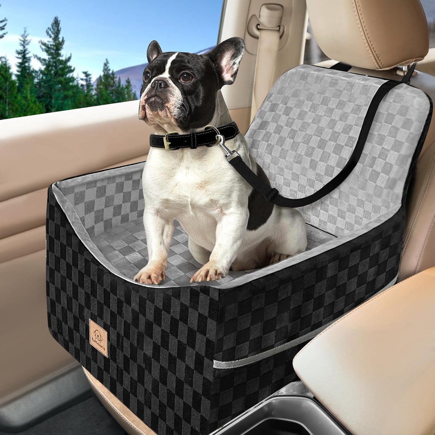Dog Car Seat for Small and Medium Dogs Up to 35 lbs –Memory Foam Dog Booster Seat with Safety Leash & Storage Pockets, Fits Front & Back Car Seats, Removable Washable Cover - Black & Gray