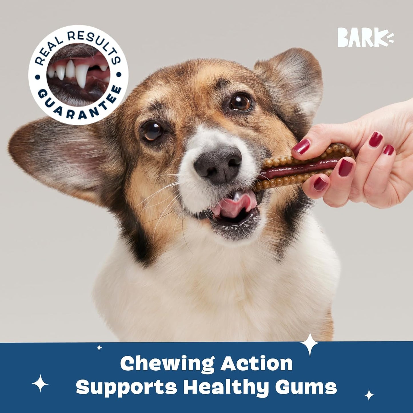 Barkbox Bright Durable Dental Kit, 15 Chew Sticks & Toothpaste - Medium Breeds (Berry Mint Flavored)