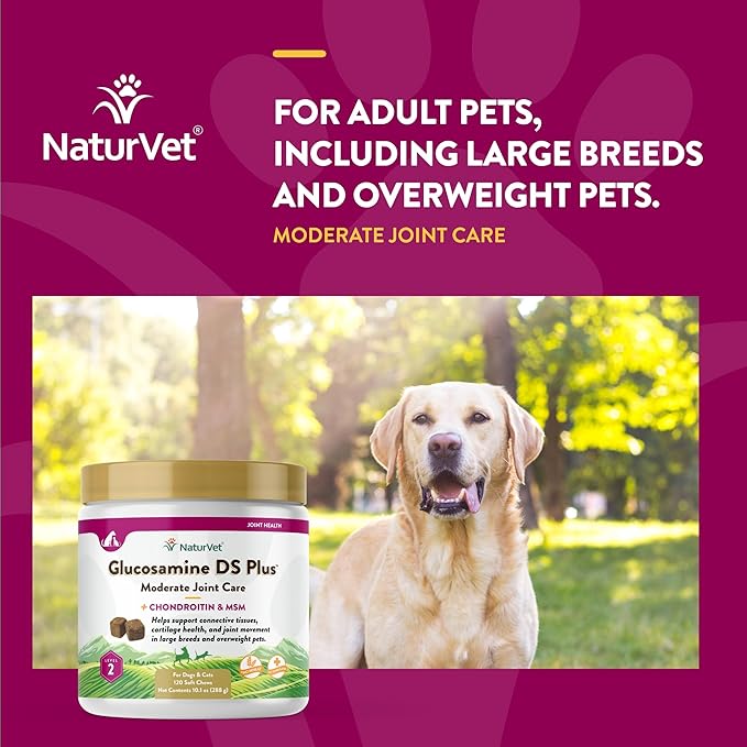 NaturVet – Glucosamine DS Plus - Level 2 Moderate Care – Supports Healthy Hip & Joint Function – Enhanced with Glucosamine, MSM & Chondroitin – for Dogs & Cats–120 Soft Chews