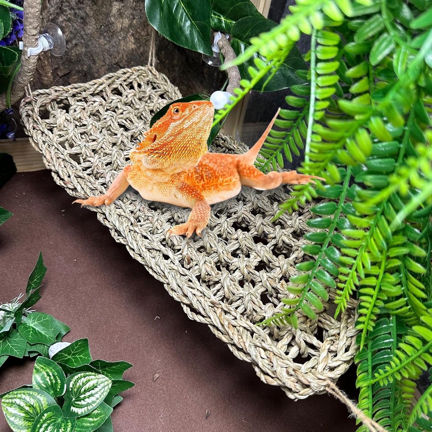 8PCS Bearded Dragon Hammock Reptile Basking Platform Rock Reptile Artificial Plants Leaves & Vines Lizard Habitat Decor Terrarium Tank Accessories for Hiding & Climbing Snake Gecko Bird Chameleon