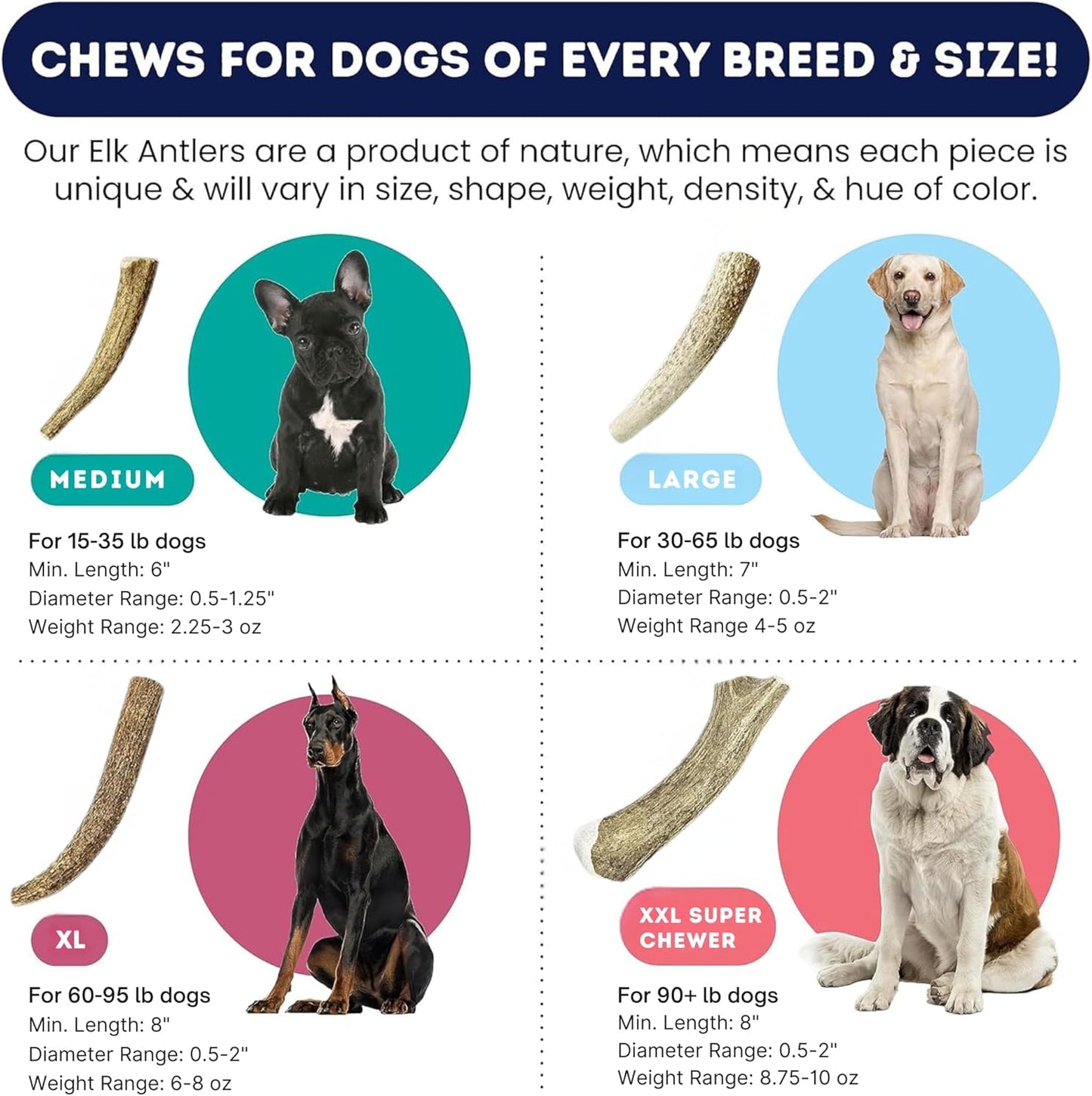 Onward Hound Elk Antlers for Dogs, 8"+ XL 1-Pack, Grade A Long Lasting Chew for Aggressive Chewers, Premium USA Naturally Shed Antler - Healthy, No Odor, Durable Dog Chew for 60-95lb Breeds