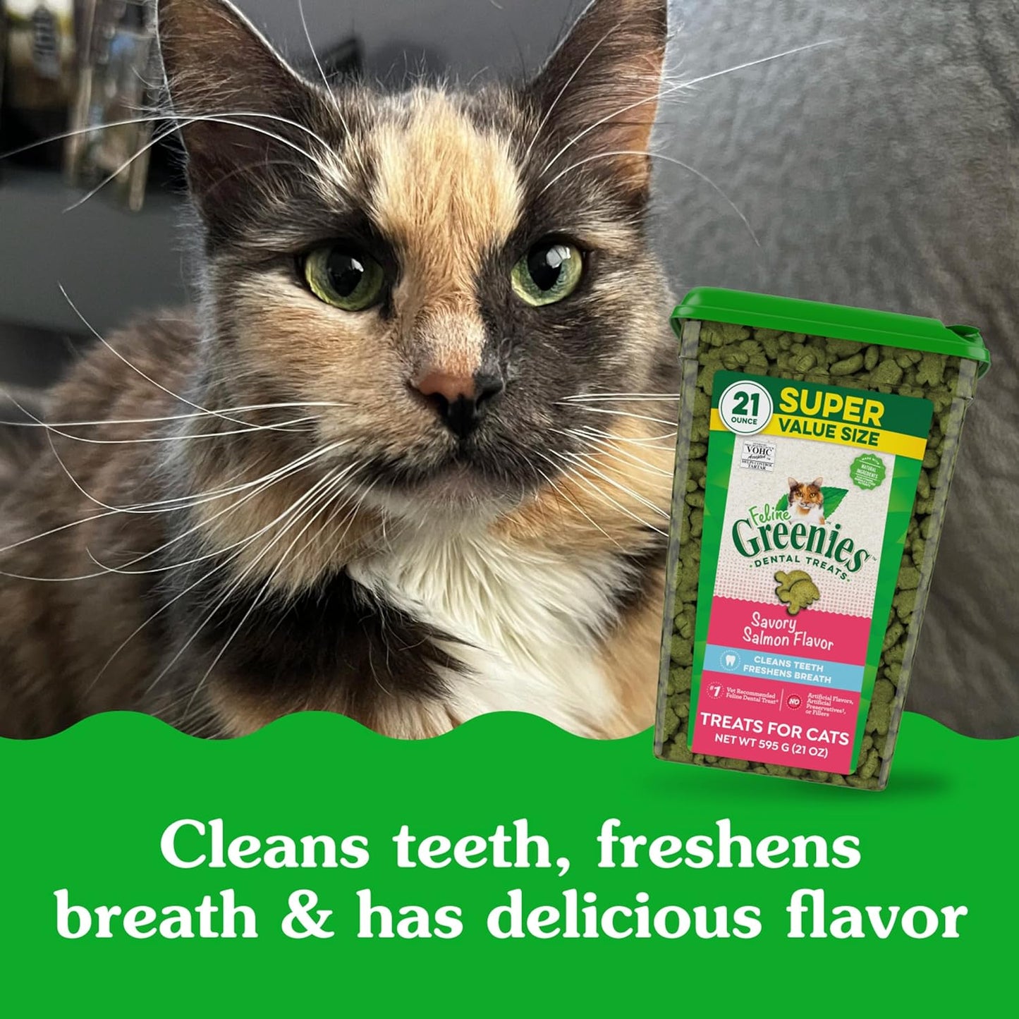 Greenies Feline Adult Dental Cat Treats, Savory Salmon Flavor, 21 oz. Tub