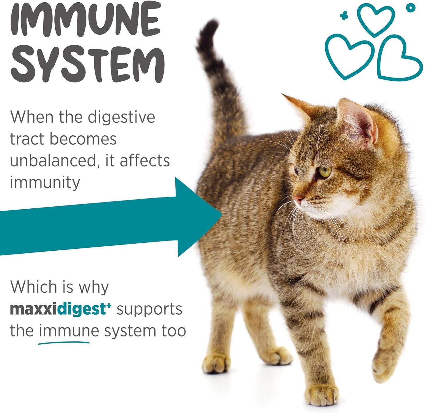 maxxipaws maxxidigest+ Prebiotic & Probiotic for Cats 3.2oz | Cat Probiotic Powder with Advanced Digestive Enzymes for Gut Health & Immunity | Supports Digestion, Food Sensitivities & Itchy Skin
