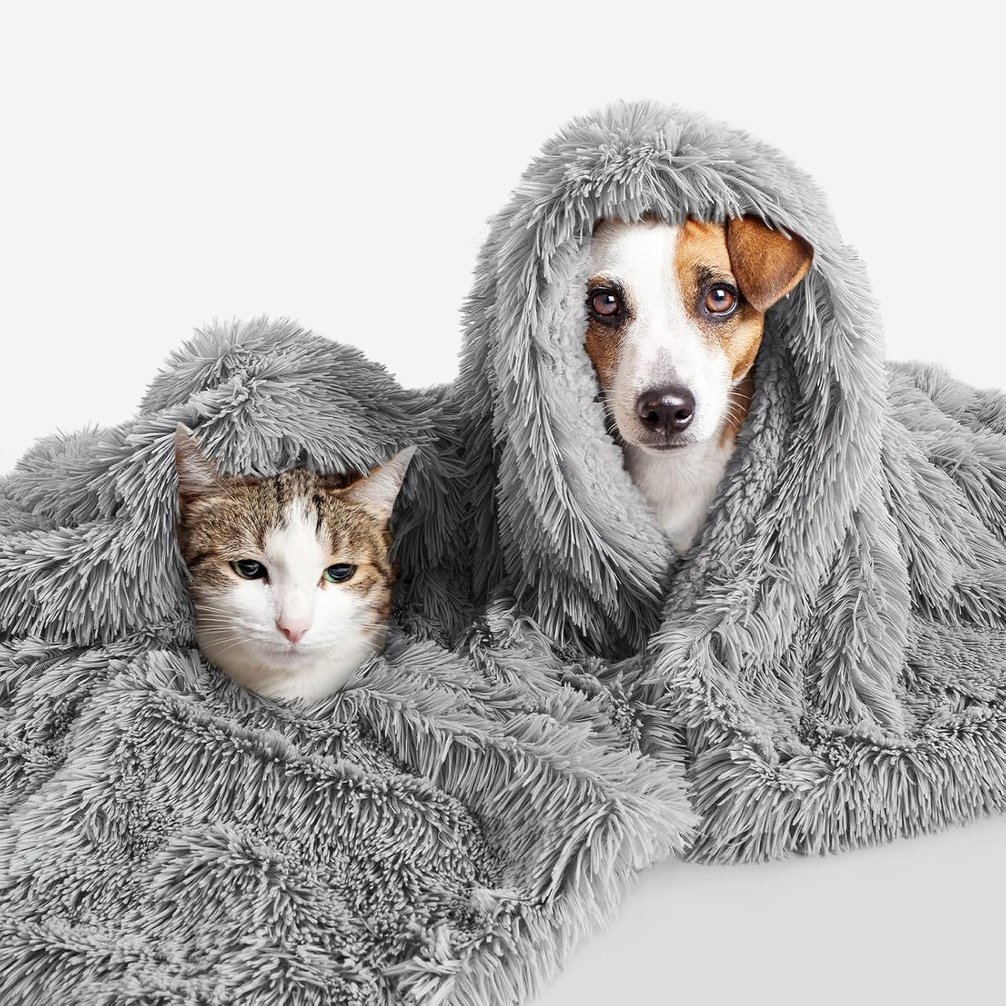 LOCHAS Luxury Fluffy Dog Blanket, Extra Soft and Warm Sherpa Fleece Pet Blankets for Dogs Cats, Plush Furry Faux Fur Puppy Throw Cover, 30''x40'' Grey