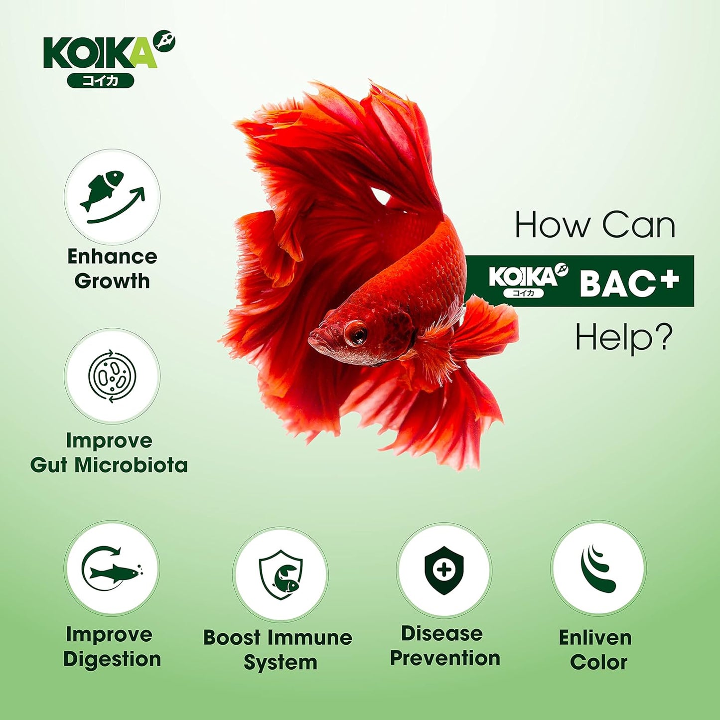KOIKA BAC+ Aquarium Probiotics, Immunity Boosting, Disease Resistance & Improve The Digestive System (BAC+,105ml)