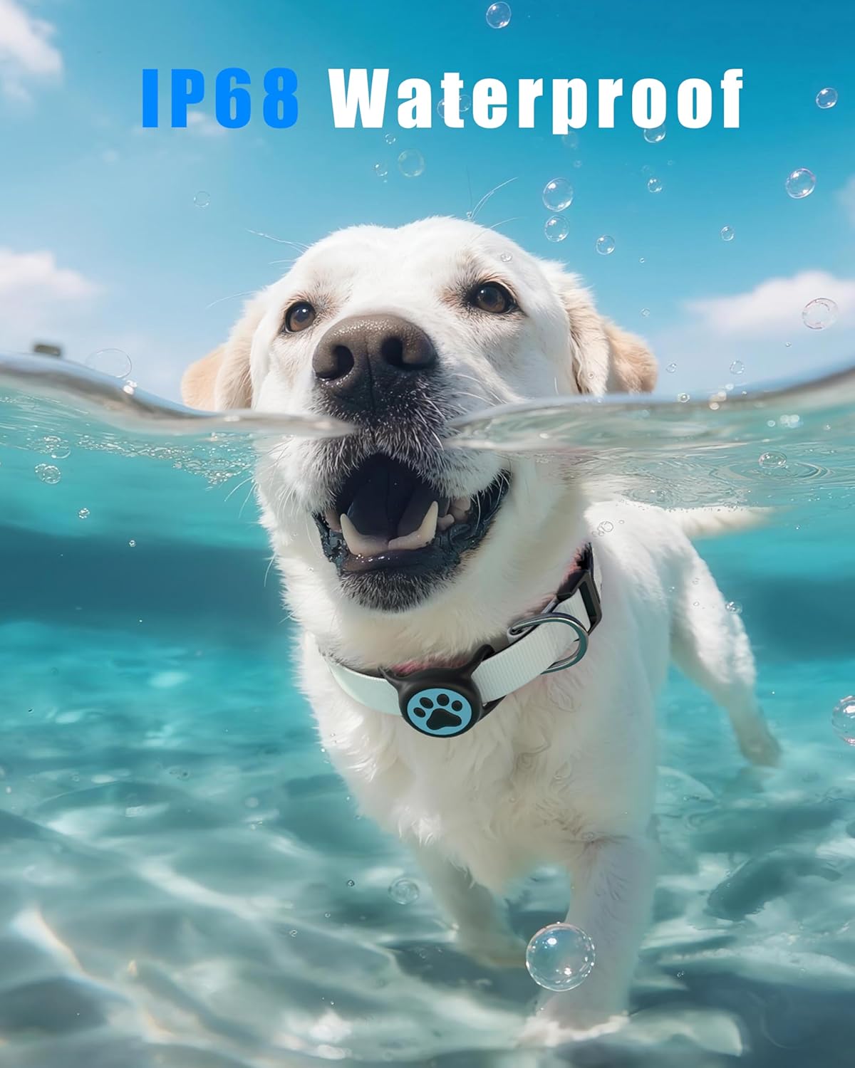 IP68 Waterpoof Dog Tag Holder, Stretchy Silicone Full Body Covered tag Holder for Dog Cat Collar Fit All Width Collar (Black & Blue, 1 Pack)