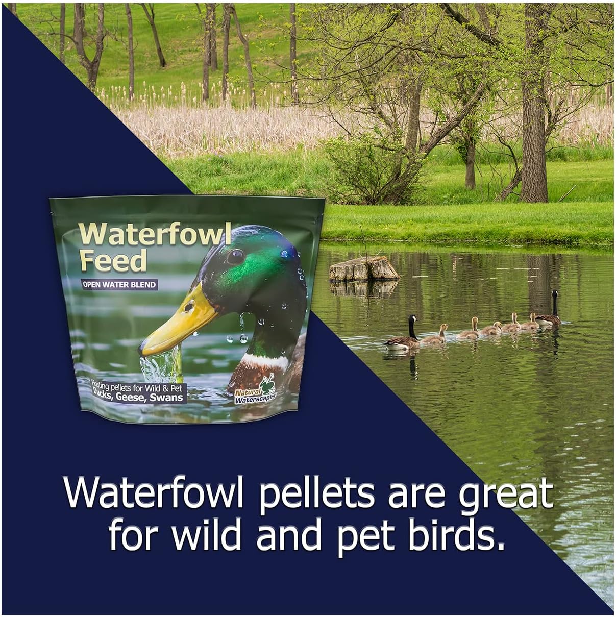 Natural Waterscapes Waterfowl Feed (5 lb) Floating Duck Food | for Wild Ducks, Pet Ducks, Geese, Swans