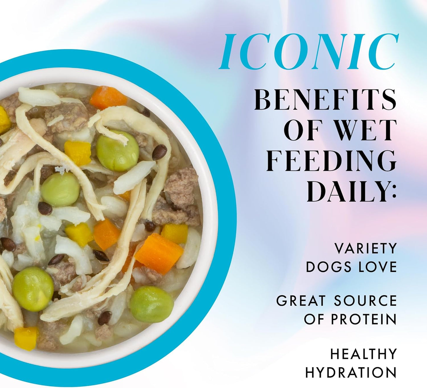 Weruva Paris Hilton Pamper Like Paris Natural Wet Dog Food, Chicken with Rice and Pumpkin, 2.75oz Cup (Pack of 10)