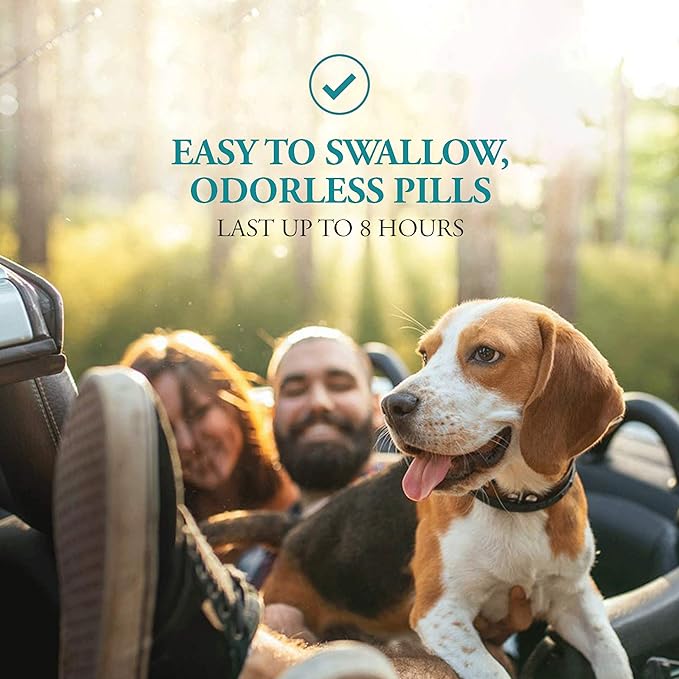 Anti-Motion Sickness and Nausea Relief for Small Breed Dogs, Relief for Disorientation and Dizziness, 10 Tablets