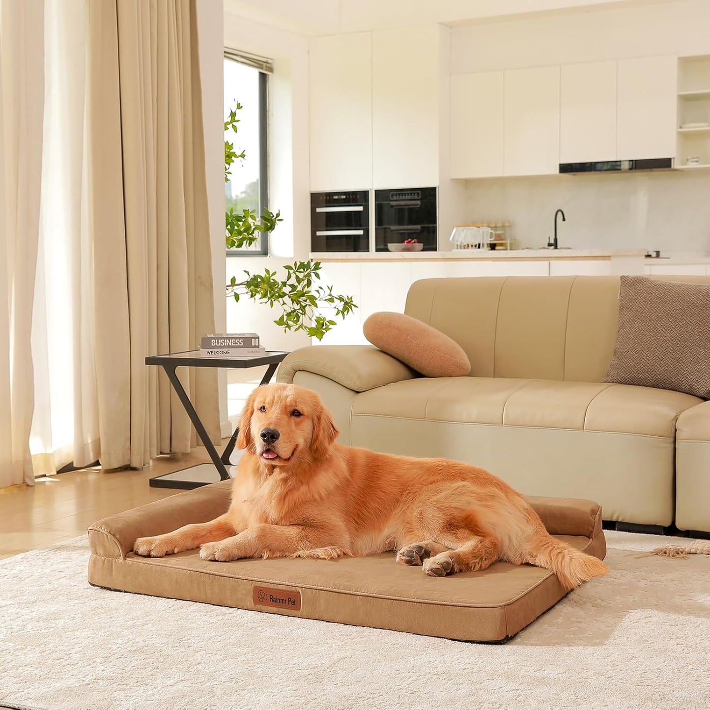 Orthopedic Dog Beds Large Sized Dog, Memory Foam Pet Bed for Medium and Large Dogs, Removable and Washable Microsuede Cover, TPU Waterproof Liner, Nonskid Bottom, 44x32x6 Inches, Khaki