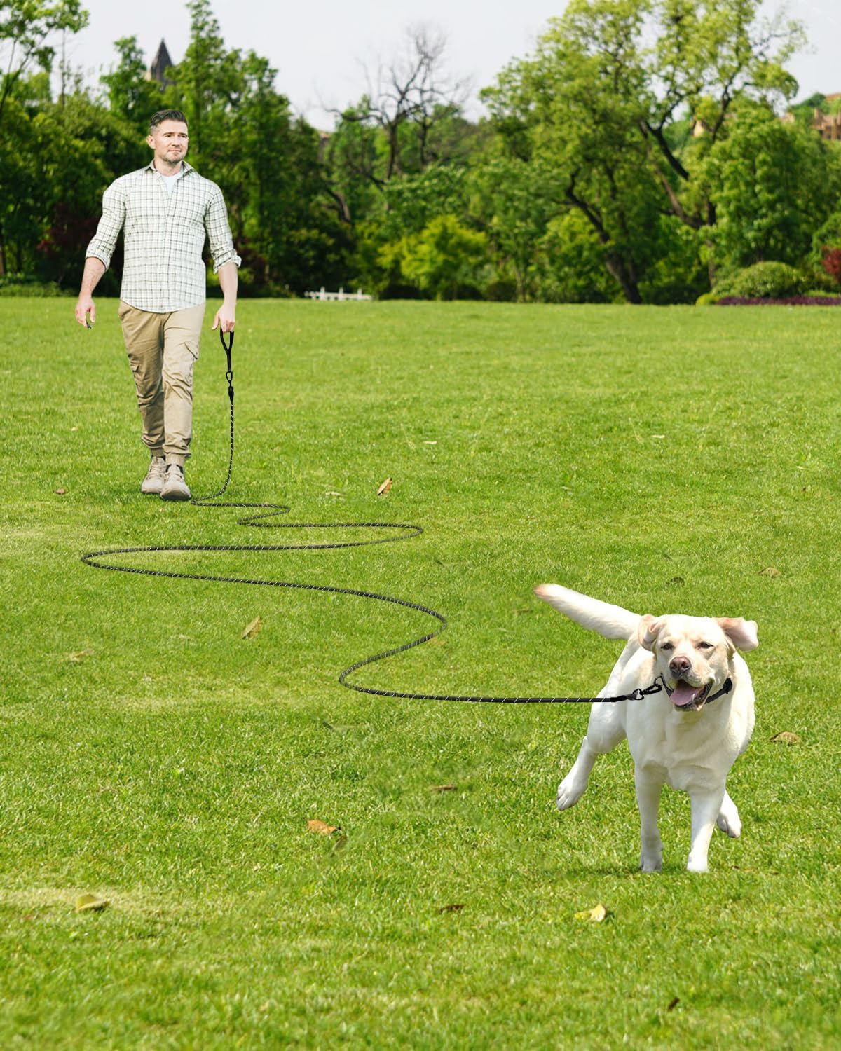 Joytale Long Leash for Dog with Removable Padded Handle, Heavy Duty Lead for Large Medium Dogs,15FT/30FT/50FT/65FT Reflective Training Leash for Play, Camping, Backyard Tie Out, Black, 65FT