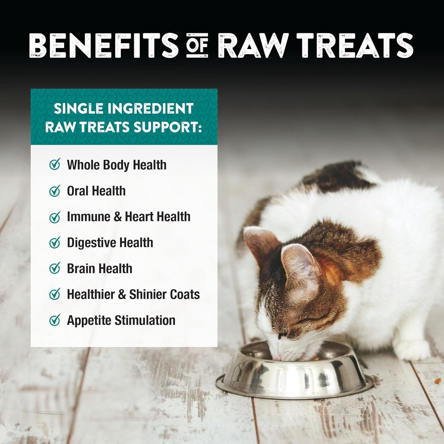 Northwest Naturals Raw Rewards Freeze-Dried Chicken Heart Treats for Dogs and Cats - Bite-Sized Pieces - Healthy, 1 Ingredient, Human Grade Pet Food, All Natural, Proudly Made in USA, 3 Oz
