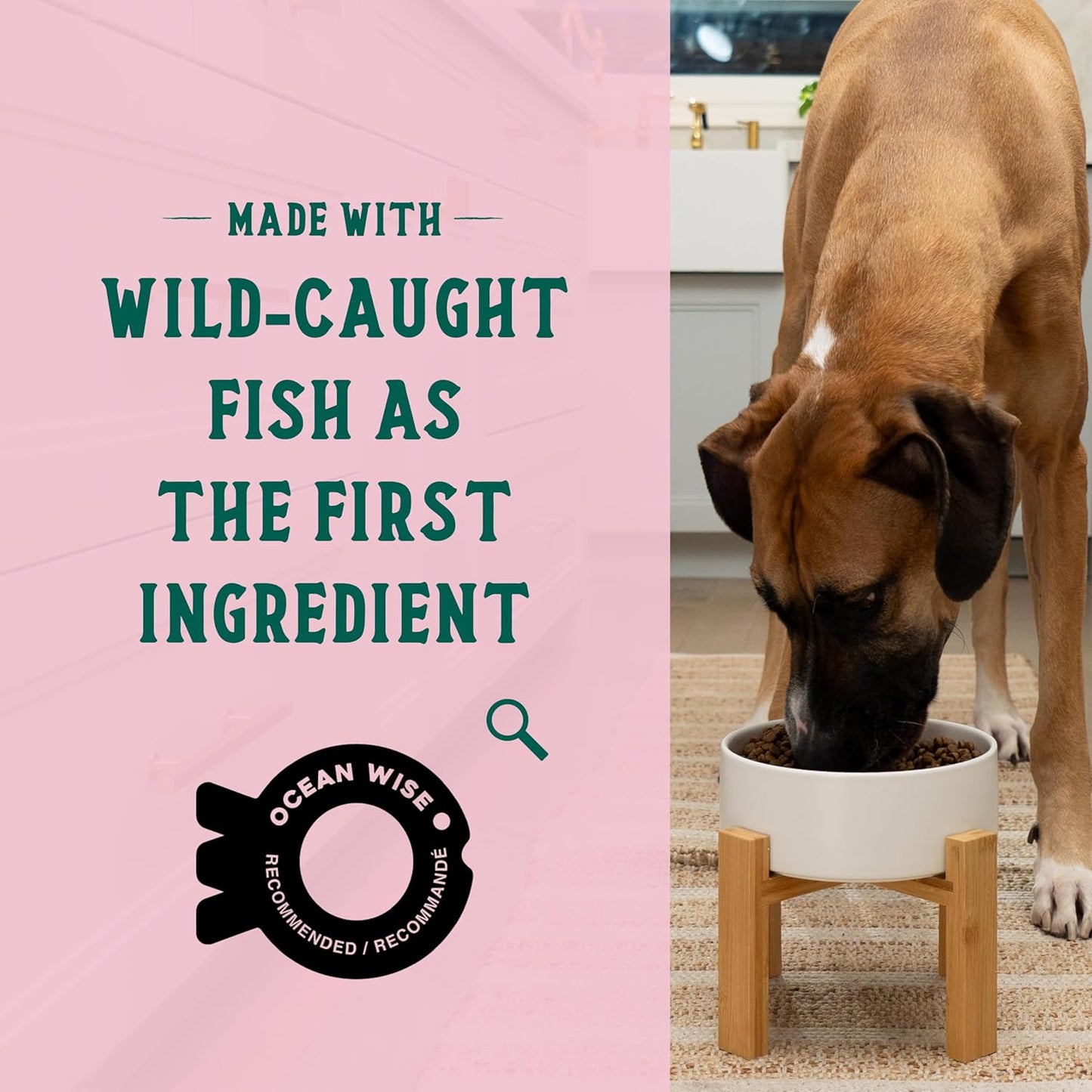 Open Farm Goodbowl, Oven-Baked Small Batch Dry Dog Food - Wild Caught Salmon & Brown Rice Recipe, Includes Non-GMO Produce & Grains, 22lb Bag (352oz Bag)