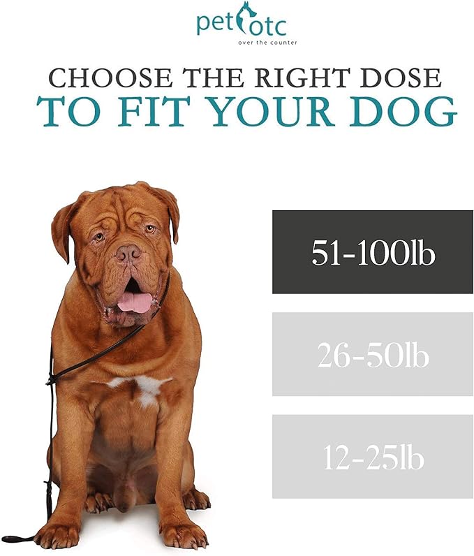 Anti-Motion Sickness and Nausea Relief for Large Breed Dogs, Relief for Disorientation and Dizziness, 30 Tablets