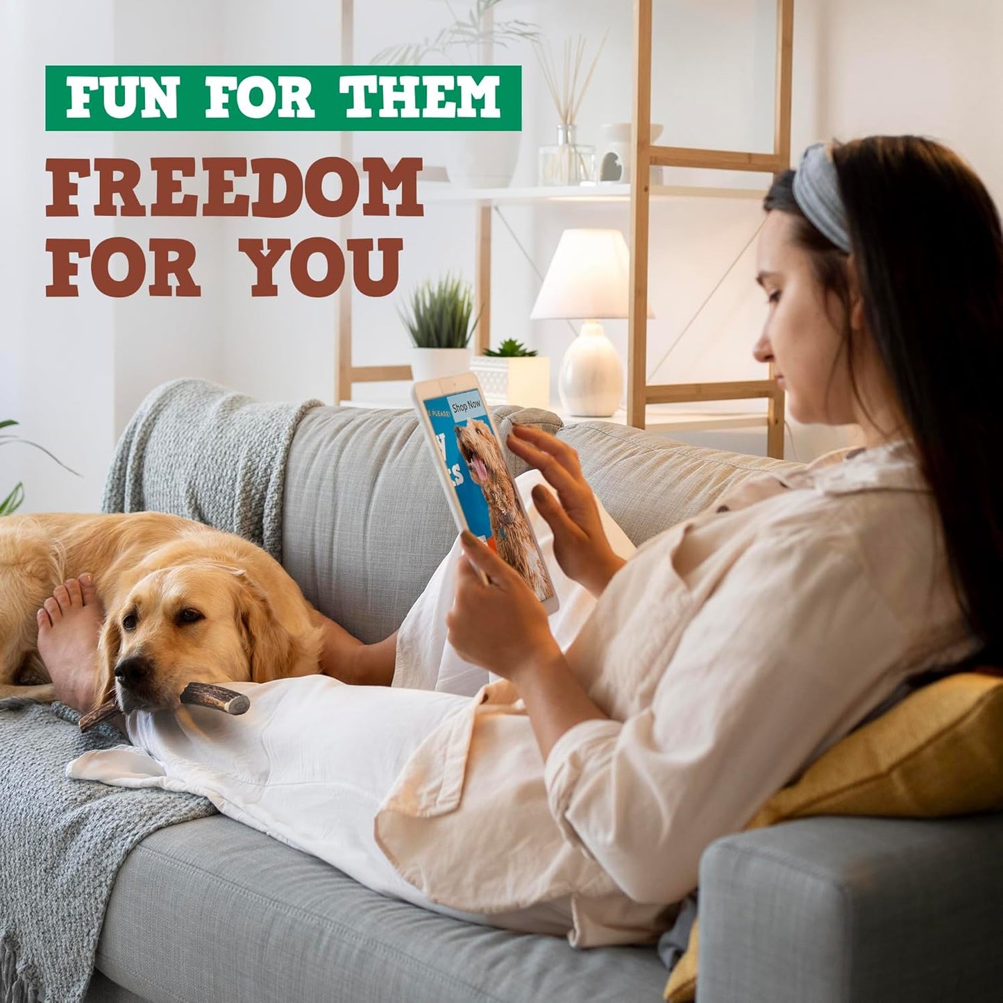 Jack&Pup Whole Elk Antlers for Dogs Large | Naturally Shed Rawhide Free Dog Chews Long Lasting Elk Horns for Dogs | Dog Antlers for Aggressive Chewers (1 Small Antler)