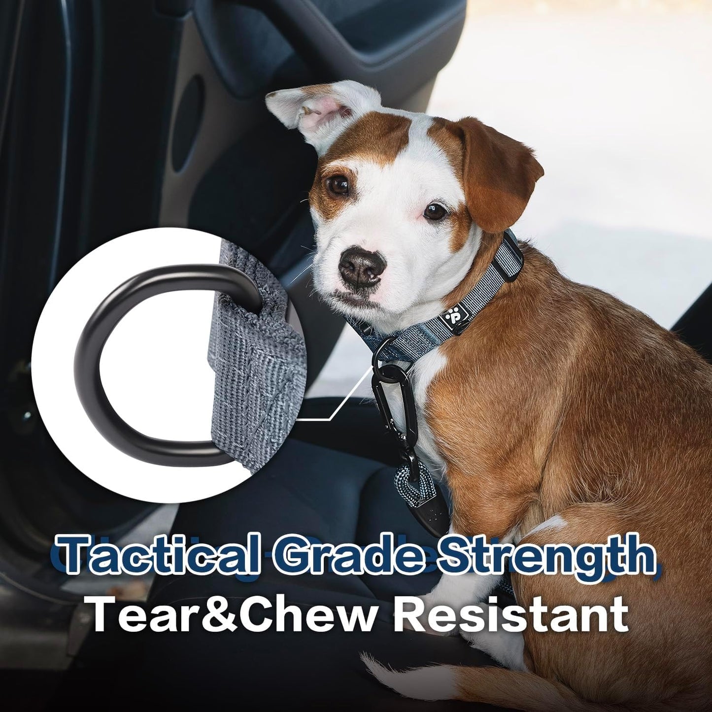 CLEPAWS Reflective Dog Collars for Medium Dogs, Heavy Duty Tactical Dog Collar with Metal Buckle, Durable Pet Collar Quick Release, Reinforced Nylon No Pull Dog Collar (Nightfall, M)