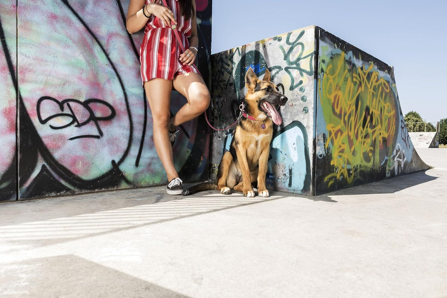 MyFamily Personalized Pet ID Tag Made in Italy, Big Circle The Queen, Free Engraving, Hand Enamelled, Charms Collection