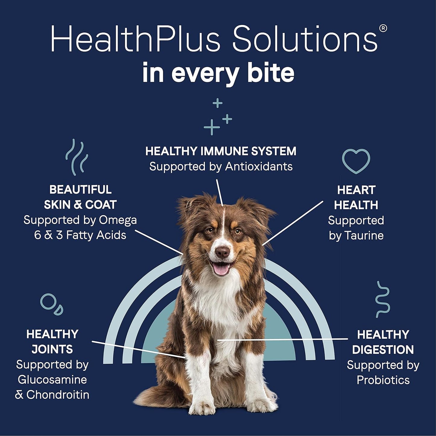 Canidae Pure Limited Ingredient Premium Adult Dry Dog Food, Real Lamb, Goat & Venison Meals Recipe, 4 lbs, Grain Free