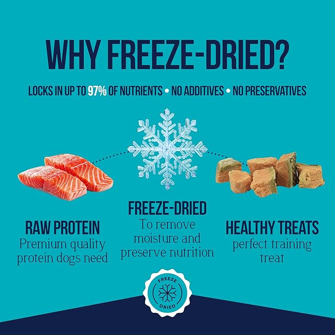Stewart Single Ingredient Freeze Dried Raw Dog Treats, Wild Salmon, 2.75 Ounce, Approx. 55 Pieces per Resealable Pouch, Training Treats or Meal Topper, High Protein, Grain Free, Gluten Free