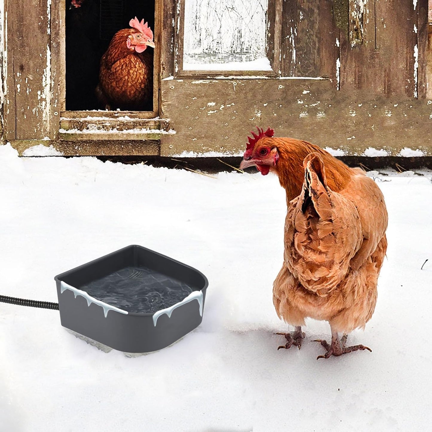 NAMSAN Small Heated Pet Bowl for Cats Rabbits, Outdoor and Indoor, 1 L Heated Water Bowl for Chicken Birds Ice Free, Thermal-Bowl for Dog Cage, Hanging Kennel Dish, Self-Assembly