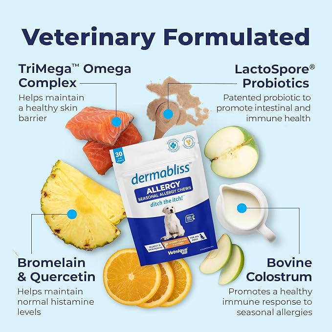 Vetnique Labs Dermabliss Dog Allergy Relief & Immune Support Supplement Allergy Chews for Dogs Itching and Licking with Omega 3 Fish Oil & Probiotics for Itch Relief - Vet Recommended (120 Ct Chews)