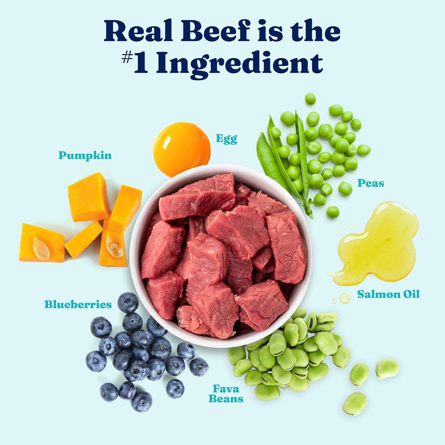 Solid Gold High Protein Dog Food Dry Dog Kibble - Premium Beef Protein & Digestive Probiotics for Energy, Muscle, Gut & Immune Support - Healthy Grain & Gluten Free Dogfood - Nutrientboost - 3.75 LB