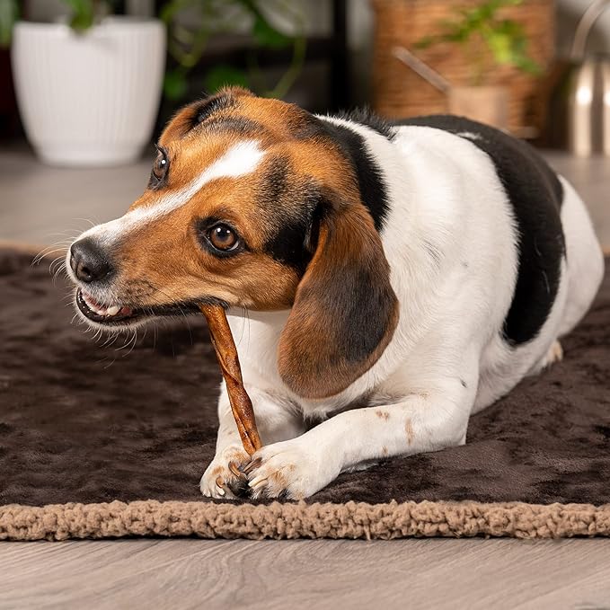 Pet Factory American Beefhide 5" Twist Sticks Dog Chew Treats - Peanut Butter Flavor, 1 lb