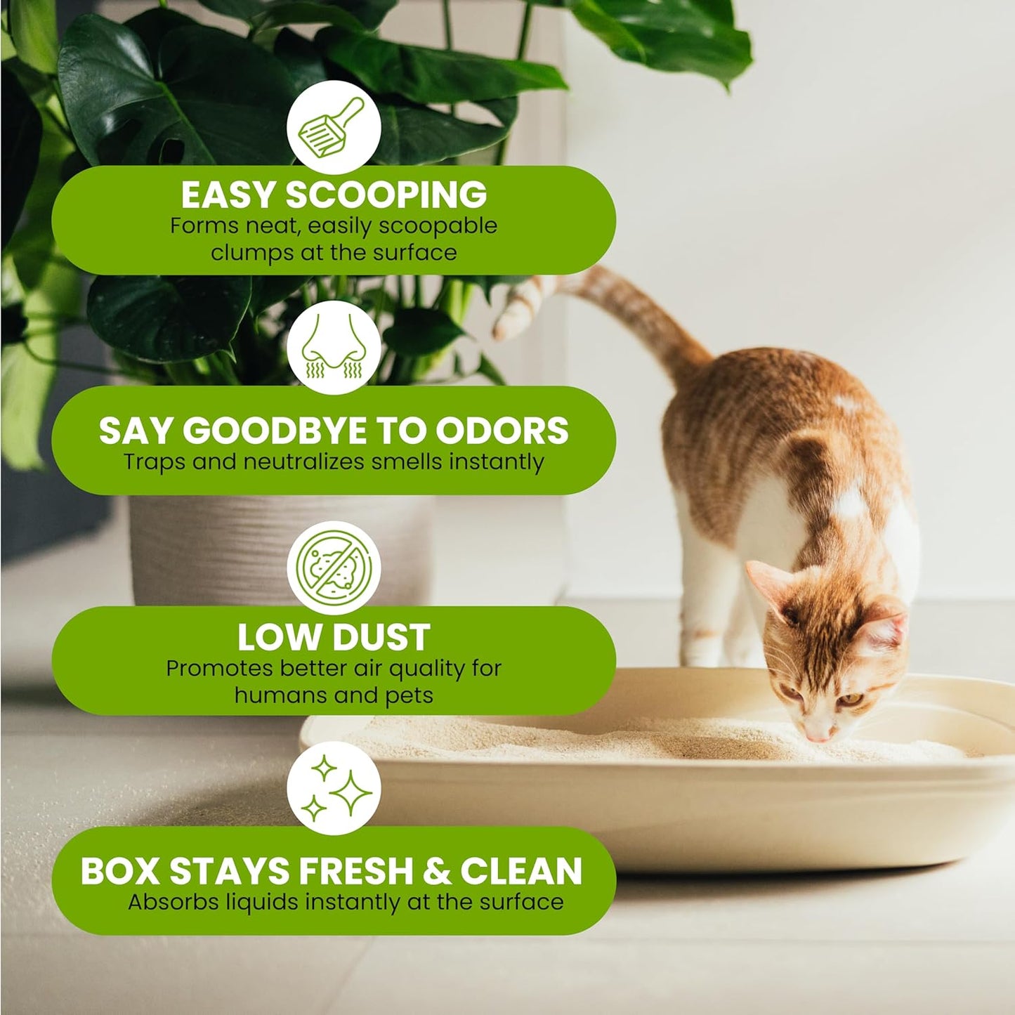 Natural Unscented Cat Litter - 10 lbs - Plant-Based, Clumping, Biodegradable, Non-Toxic, Compostable, Eco-Friendly, Odor Control, Low Dust, Safe for Cats & Kittens. (Pack of 2)