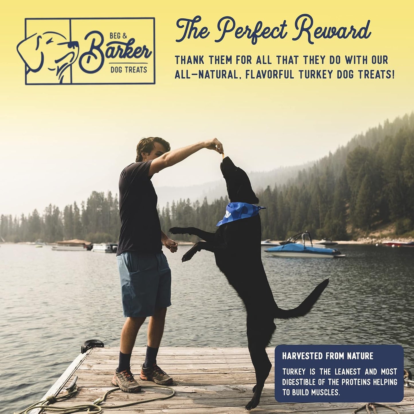 Beg & Barker Turkey Jerky for Dogs (4 Ounce, Pack of 1) - Dog Training Treats - Natural Dog Treats Made in The USA - Grain Free, Diabetic-Friendly, High Protein, Sugar-Free