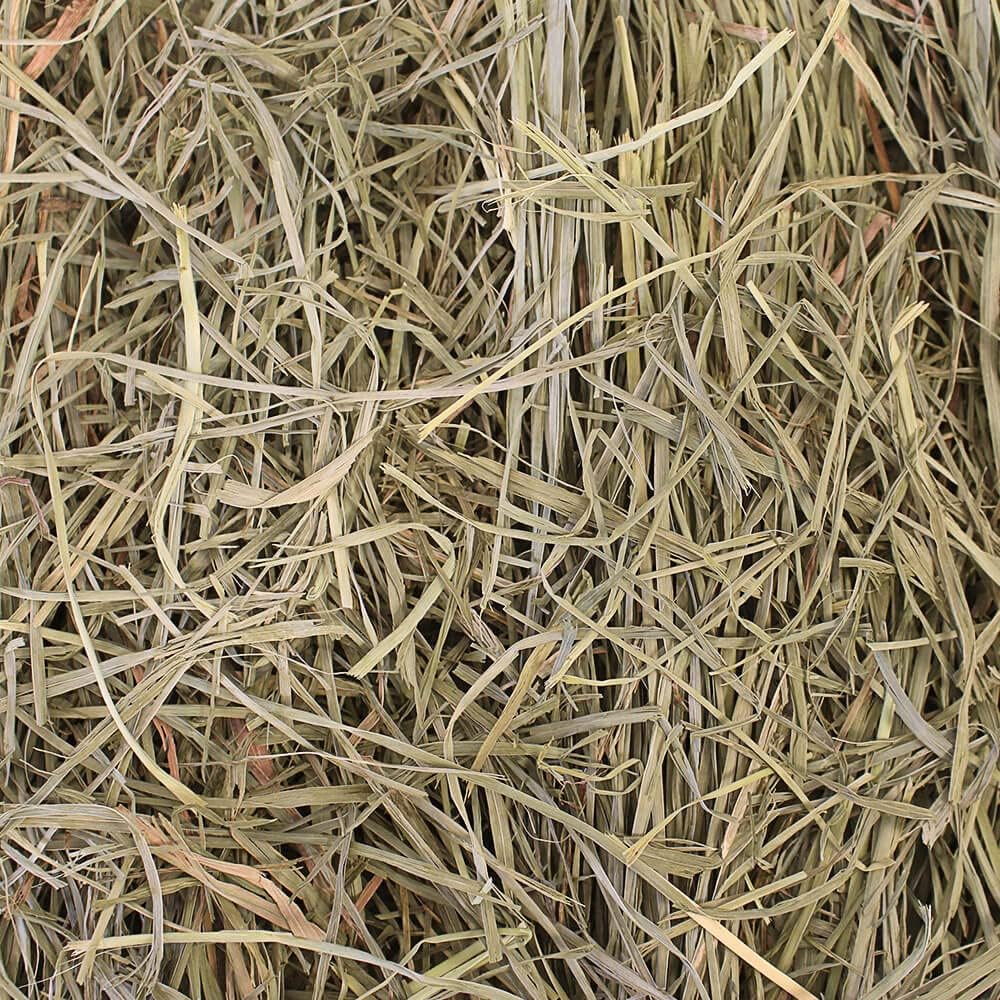 Grandpa's Best Orchard Grass Hay for Rabbits, Guinea Pigs, Chinchillas, Hamsters & Gerbils, 10lb Loose Boxed, Brown
