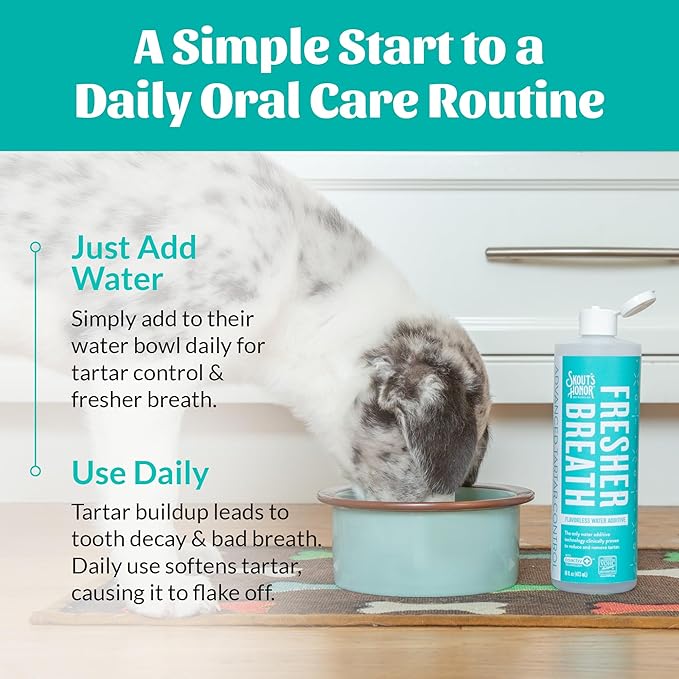 SKOUT'S HONOR Fresher Breath Water Additive for Pets - VOHC Accepted for Tartar Control, Freshens Breath Fast, No Brushing Required: Fresh & Flavorless 16oz - 3 Pack