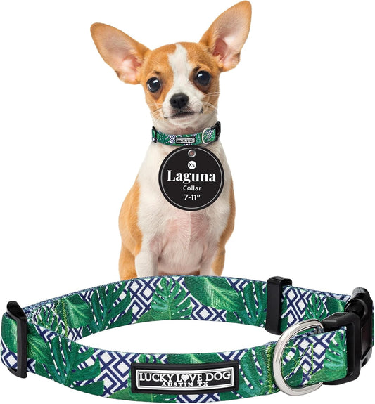Lucky Love Dog Collar, Beautiful & Vivid Pattern X-Small Boy Dog Collars, Easy On & Off Clasp Accessory (Blue Laguna, XS)