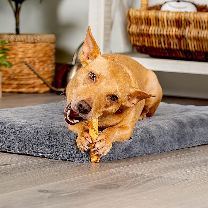 Pet Factory American Beefhide 5" Chip Rolls Dog Chew Treats - Chicken Flavor, 8 Count/1 Pack