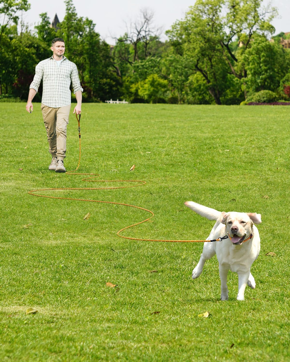Joytale Long Leash for Dog with Removable Padded Handle, Heavy Duty Lead for Large Medium Dogs,15FT/30FT/50FT/65FT Reflective Training Leash for Play, Camping, Backyard Tie Out, Orange, 50FT