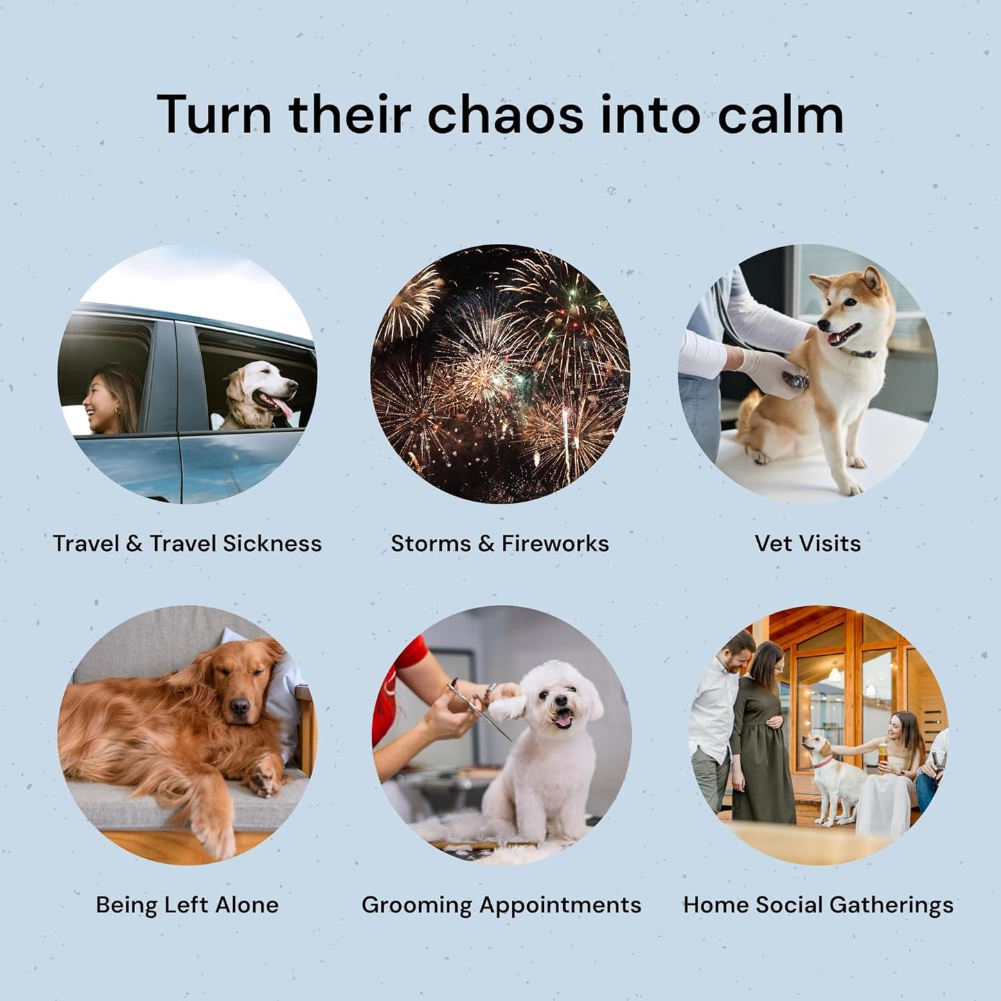 MalsiPree Calming Chews for Dogs - 145 pcs Salmon - Helps Regulate Mood - Anxiety Relief Treats - No Sedative Effect - Freeze Dried - with Passion Flower & Melatonin