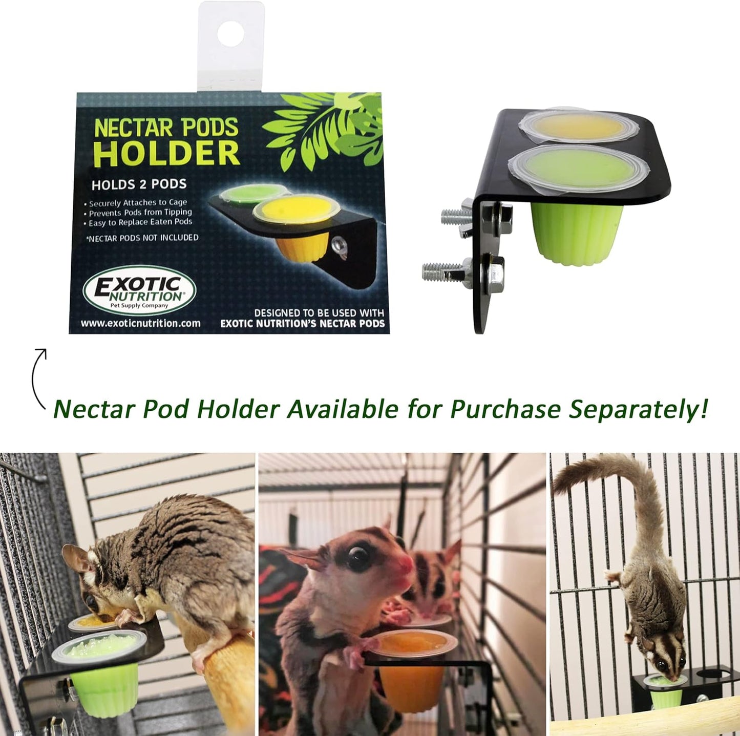 Nectar Pods (Pineapple) - Calcium-Fortified Jelly Fruit Treat - Sugar Gliders, Marmosets, Squirrels, Parrots, Cockatiels, Parakeets, Birds, Hamsters, Day Geckos, Kinkajous & Other Small Pets