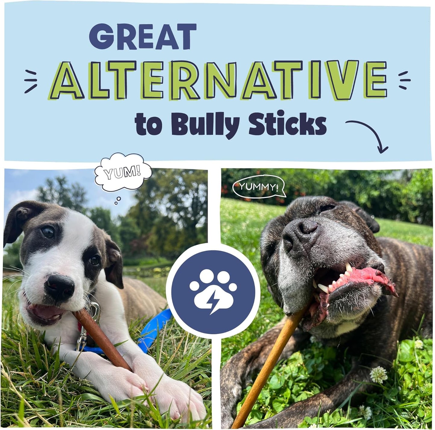 Pawstruck All Natural 11-12" Roasted Collagen Sticks for Dogs – Low Odor & Long-Lasting Bully Stick & Rawhide Alternative, Single Ingredient, Vet Approved – 5 Pack
