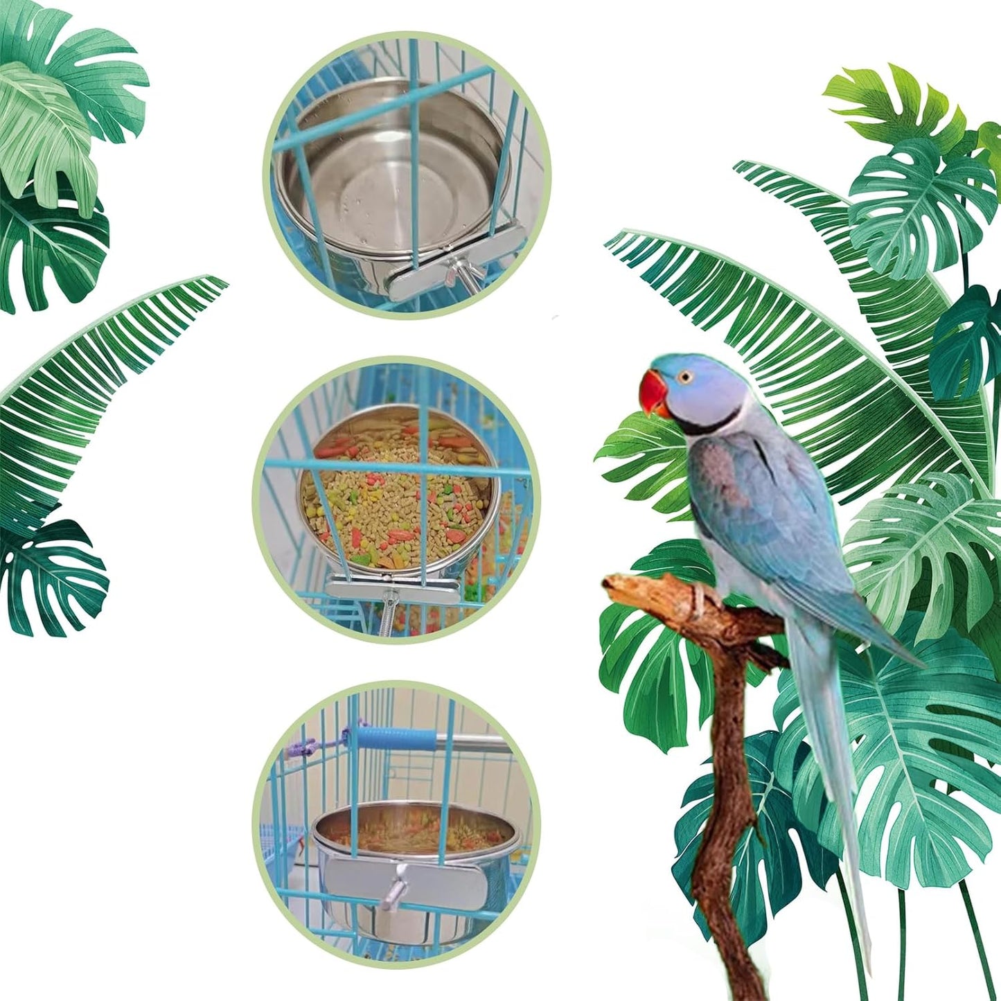 PINVNBY 6 Pieces Stainless Steel Bird Feeding Dish Cups,Parrot Feeder Parakeet Food Water Bowls with Clamp Holder & 6 Pcs Bird Spoon & 6 Pcs Birds Ball Toys for Budgies Macaw Small Animal(L)