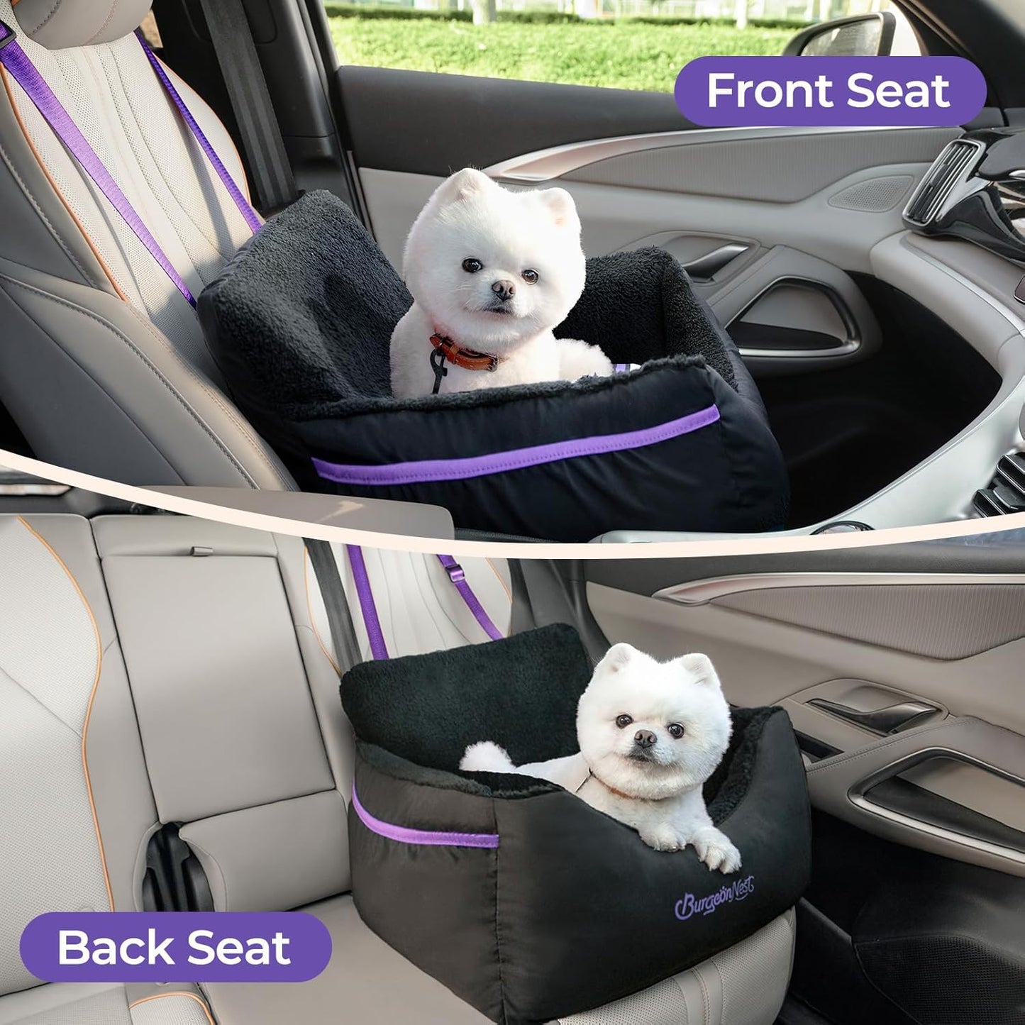 BurgeonNest Dog Car Seat for Small Dogs, Detachable and Washable Cat Carseats Under 25 lbs, Soft Pet Booster Seats with Storage Pockets and Clip-On Leash Portable Car Travel Carrier Bed, Black Purple