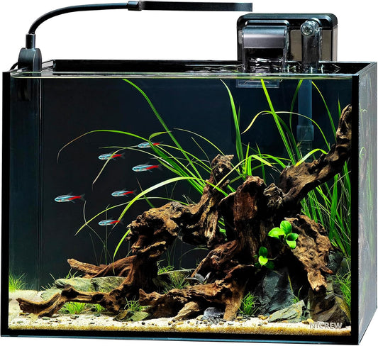 NICREW 2.5 Gallon Nano Nature Aquarium Kit, Ultra-Clear Rimless Desktop Fish Tank with Light and Filter, Perfect for Small Fish, Shrimp, or Betta, Basic Version, Black