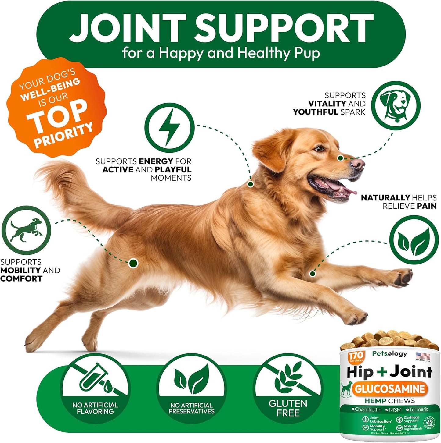 Hemp Hip and Joint Supplement for Dogs - Glucosamine for Dogs - 170 Mobility Support Chews - Advanced Joint Pain Relief Treats with Chondroitin, MSM, Turmeric - Large & Small Breeds - Made in USA