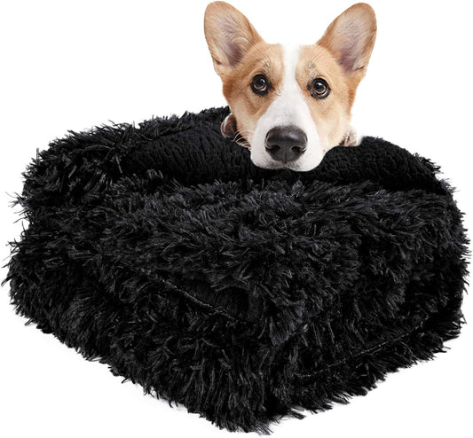 LOCHAS Luxury Fluffy Dog Blanket, Extra Soft and Warm Sherpa Fleece Pet Blankets for Dogs Cats, Plush Furry Faux Fur Puppy Throw Cover, 20''x30'' Black