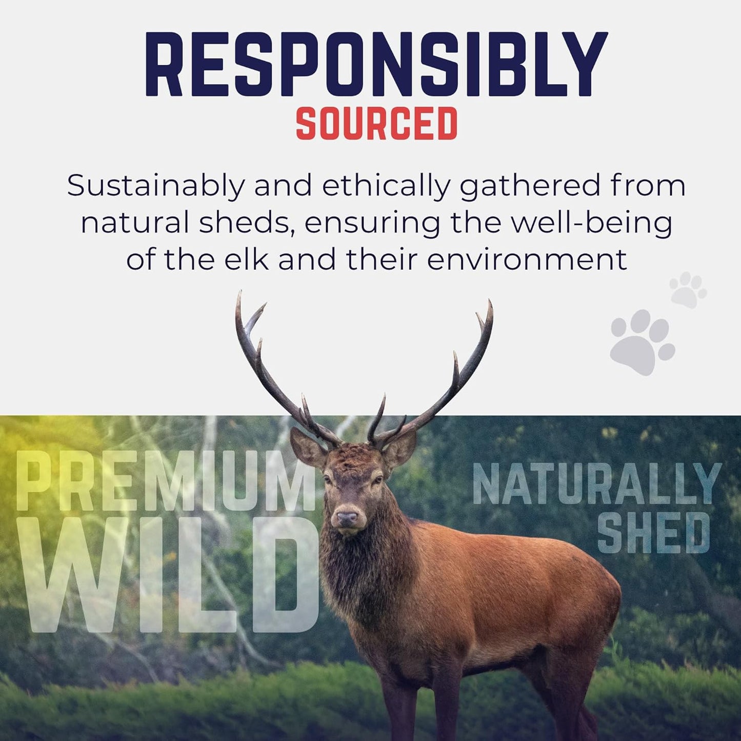 Devil Dog Pet Co. Elk Antlers for Dogs, Small 4"+, 2 Pack, Grade A Long Lasting Chew for Aggressive Chewers, Premium USA Naturally Shed Antler – Healthy, No Odor, Durable Dog Chew