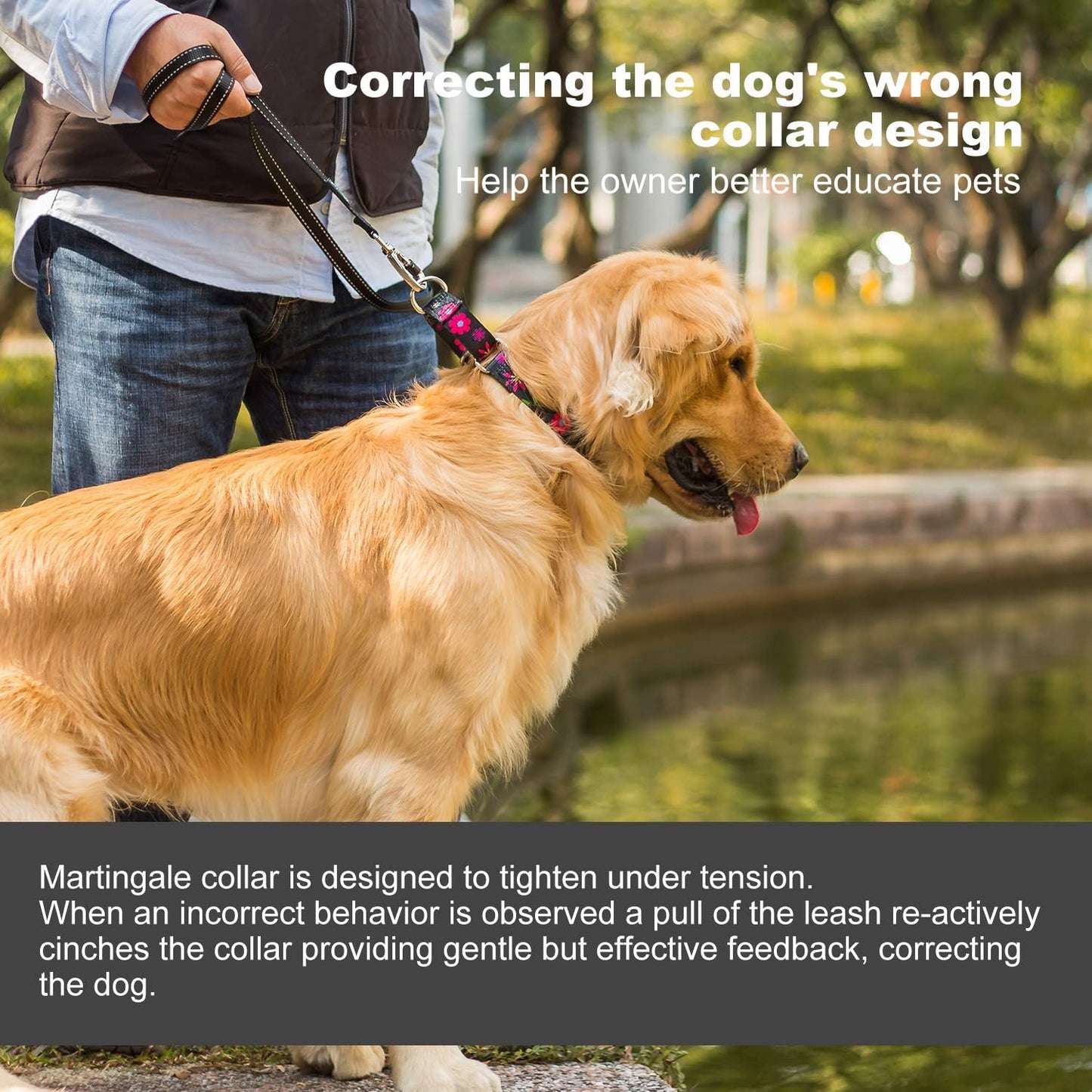 Martingale Collar Dog Collar No Pull Pet Collar Heavy Duty Dog Martingale Collars Silky Soft with Unique Pattern for Small Dog (Small Medium, Black and Sun Flower)