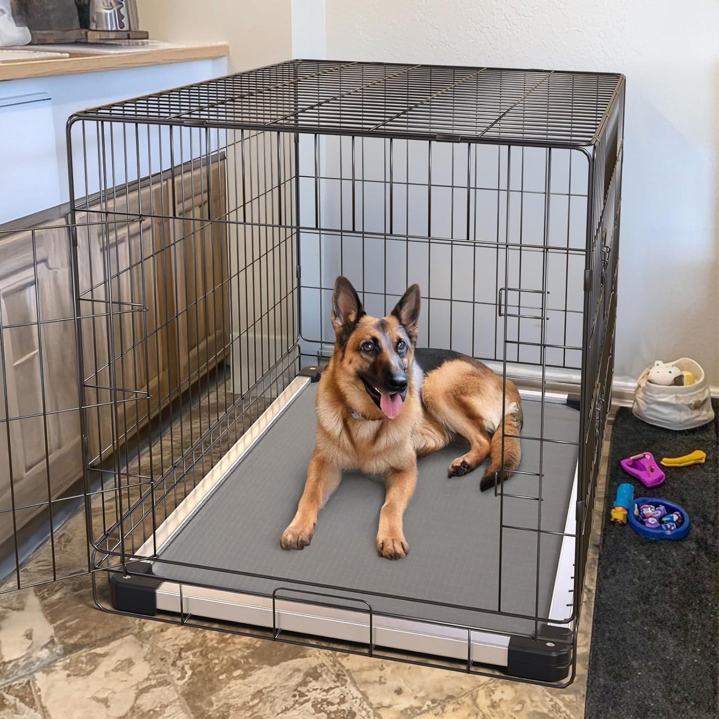 FXW TitanNest Chew-Proof Elevated Dog Bed, Raised Cot for Indoor/Outdoor/Camping Use, Durable & Washable Padded Pet Bed for Large Dogs, 47.0" L x 29.0" W x 7.3" H, Gray