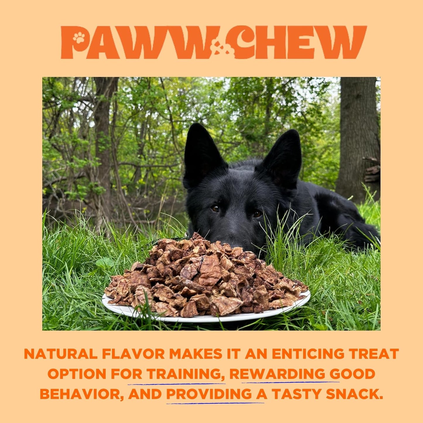 Paww Chew Beef Lung Dog Treats, 100% Natural, Single Ingredient, (2.5 Pound) Made in the USA, Dried & Dehydrated, High Protein, High Value Dog Training Treats, Grain Free, Low-Odor Free for All Breeds