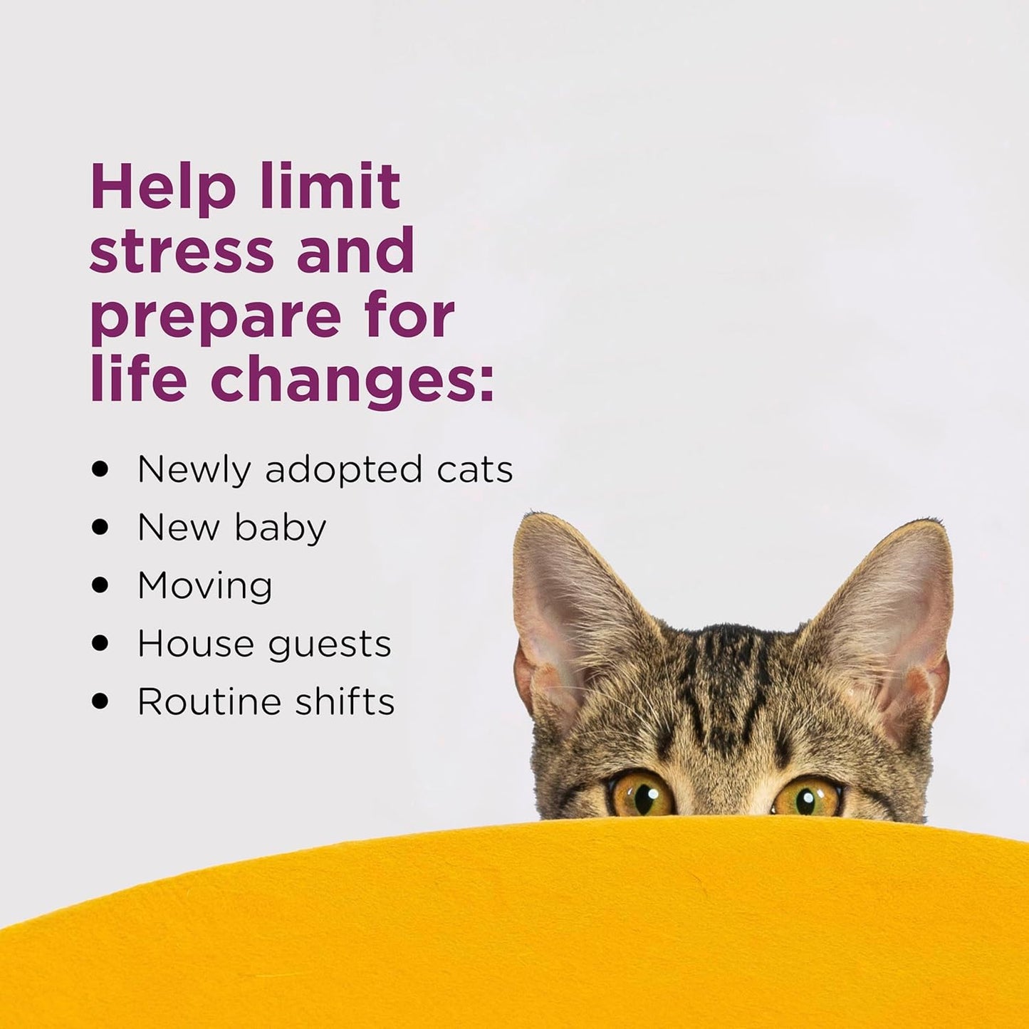 Comfort Zone 3 Pack Cat Calming Diffuser Refills; 30-Day Refills; Pheromones Help Cat Anxiety